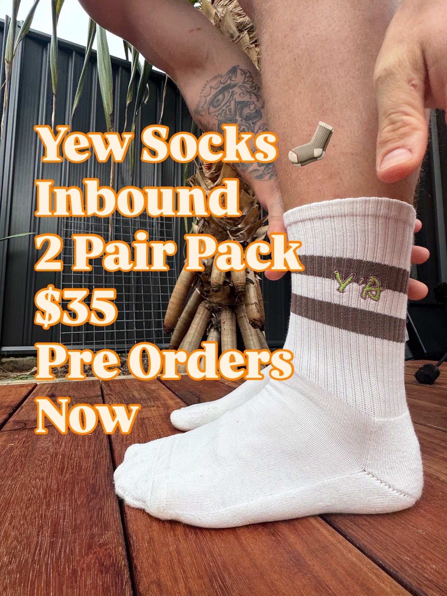 2 Pair Packet Socks Longy