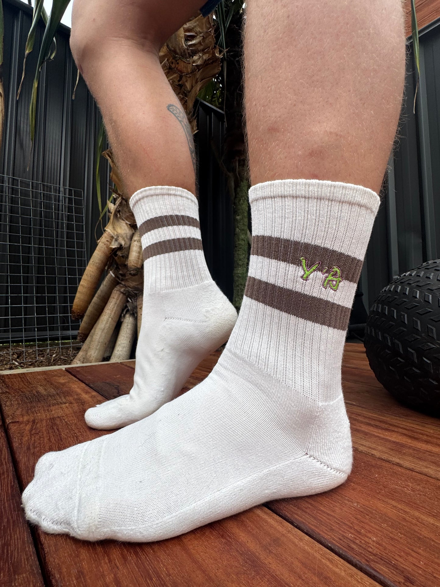 2 Pair Packet Socks Longy