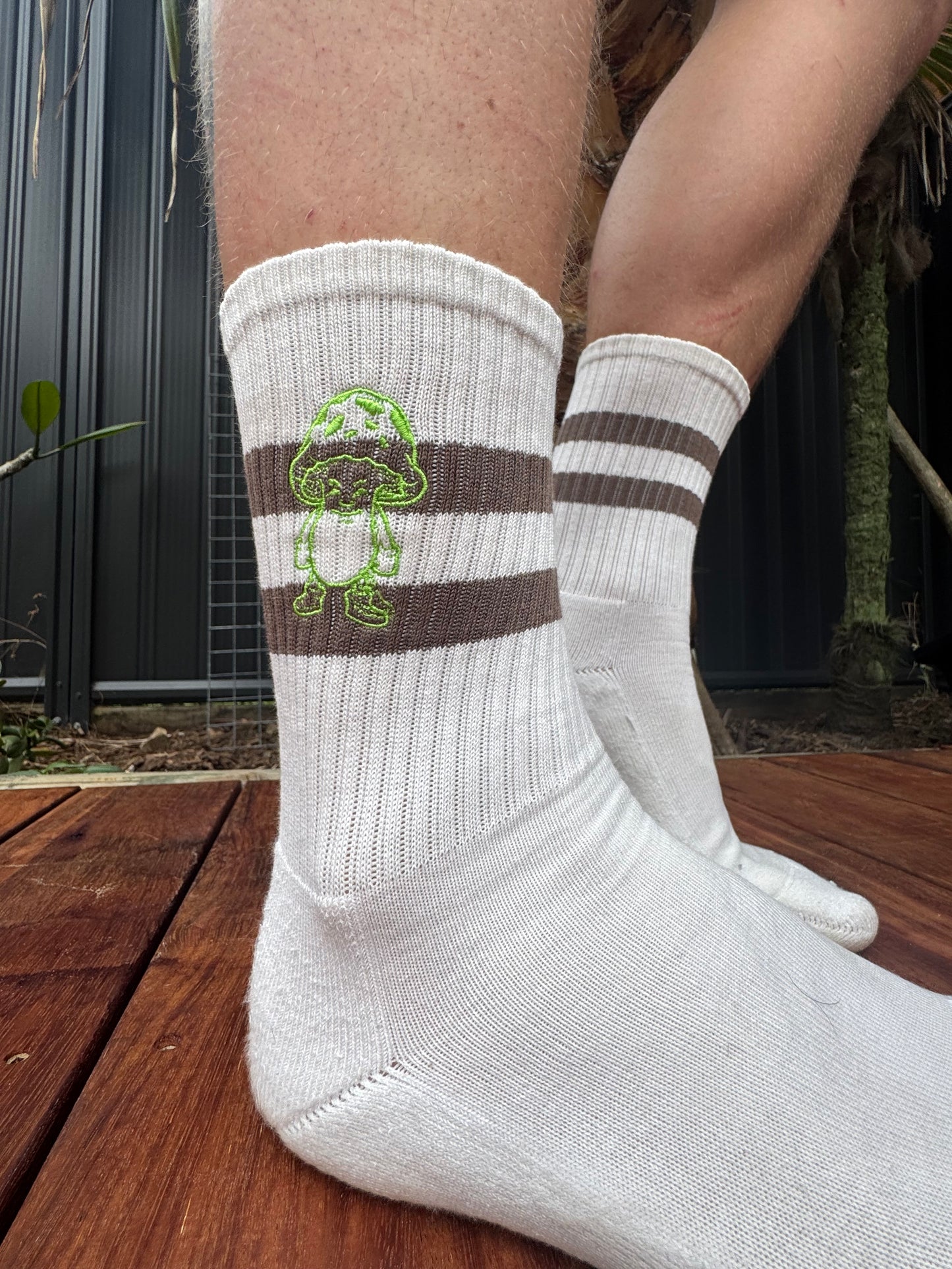 2 Pair Packet Socks Longy