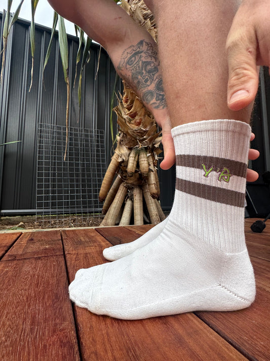 2 Pair Packet Socks Longy